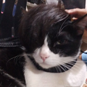 kittyruth