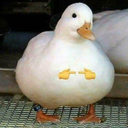 Felipen