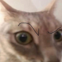 whynotxz