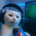 0wMo4