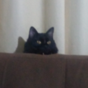 twitch_Lhzinho28