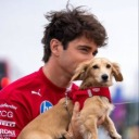 imChico