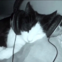 Gatitoo