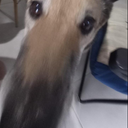 GtdoERRI