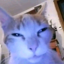Ayshimi_i
