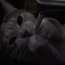 kitysu_