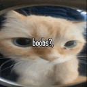 yyC4uanxd