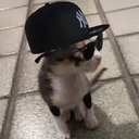 rzaky