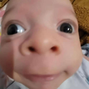 wexlsz