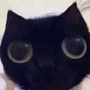 PurumbPvP