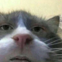SrAlkinn