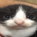 Ayumiixz