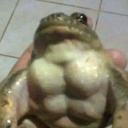 Bakurinha