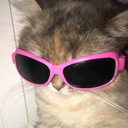 Laahsz_