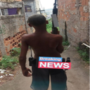 tudopalmeado22