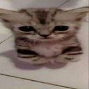 zslkjrt