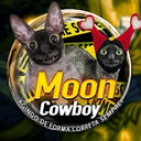 MoonCowboy