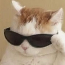 fwllings