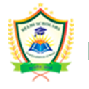 DSIS