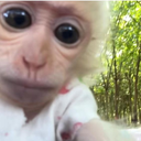 isathekid