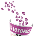 LotterAppSystem