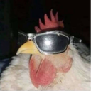 qFer_