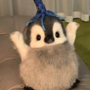 kauanw