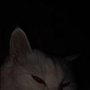DRspeacky