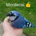 pastelada0