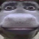 txqz_