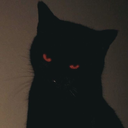 iSr_Biscoito