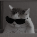WillGS_BR