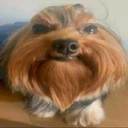 saulo0903