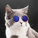 Master_BW