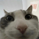 eoxsagkk