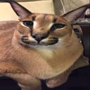 Davezadas