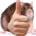 IsacuiaBW1