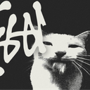 blssx
