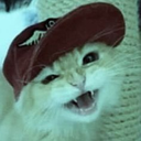 vermesaidasombra