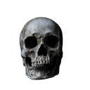 ItaloAbacati