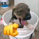 miojoDBR