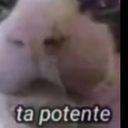 dxnlqo