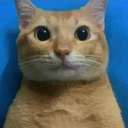 Toddygames123