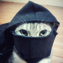 yfrost2