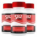 SB2TurboOficial