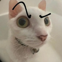 philipeplayerBR
