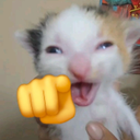 menorpecinhapa