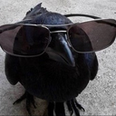 Sr_Crow
