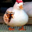 patoquackPATO