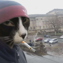 Sozalegal